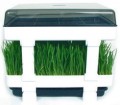Lexen Healthy Sprouter