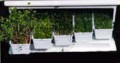 Easy Green Small Self-Draining Trays (Pack of 5)