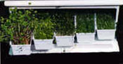 Easy Green Small Self-Draining Trays (Pack of 5)