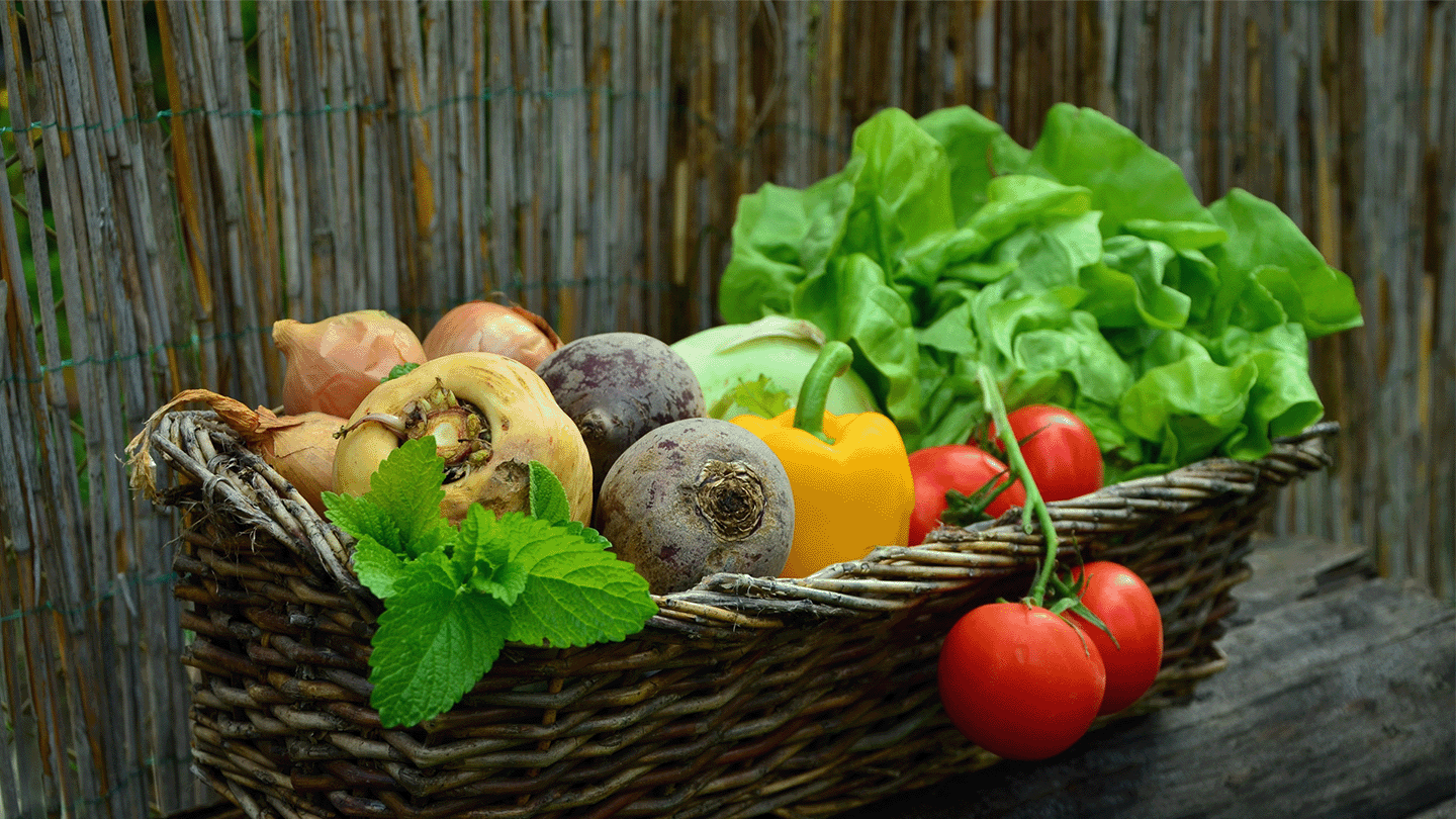 Vegetable basket